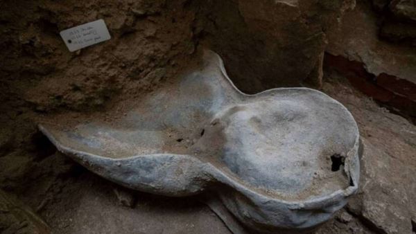 Археологи вскроют таинственный саркофаг из сгоревшего собора Парижской Богоматери