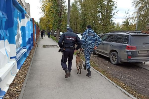 В Петербурге полицейская собака помогла разыскать подозреваемого в убийстве девушки 