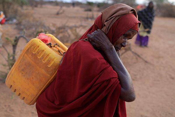 Spiegel предсказал массовый голод в Африке из-за ситуации на Украине