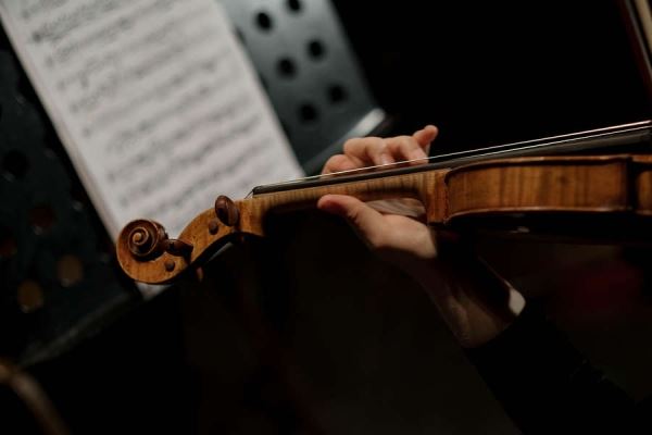В Париже на помойке нашли украденную скрипку за €100000 